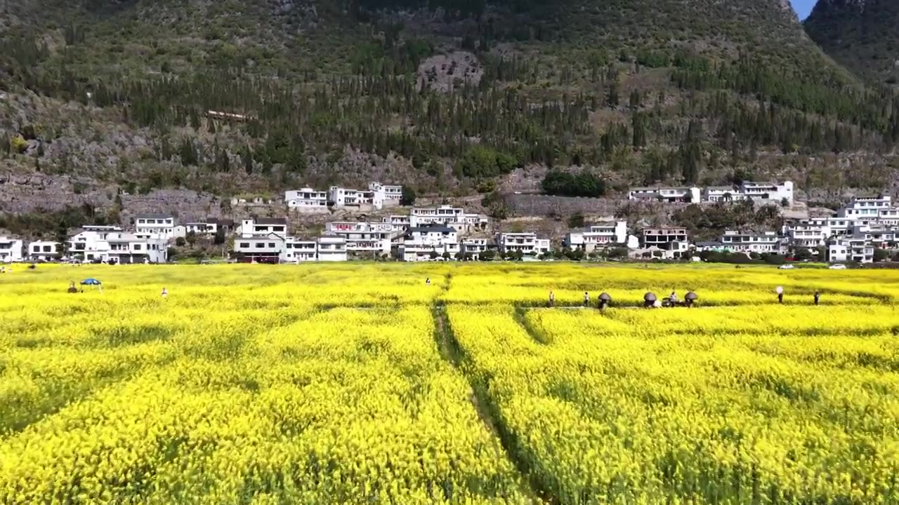 贵州万峰林八卦田航拍视频素材画面3