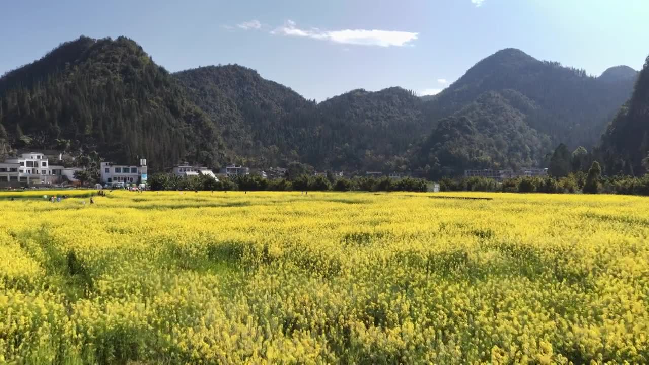 贵州万峰林八卦田航拍视频素材画面1