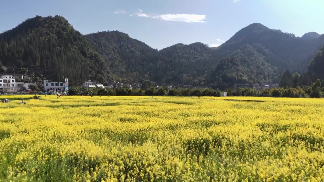 贵州万峰林八卦田航拍视频素材画面3
