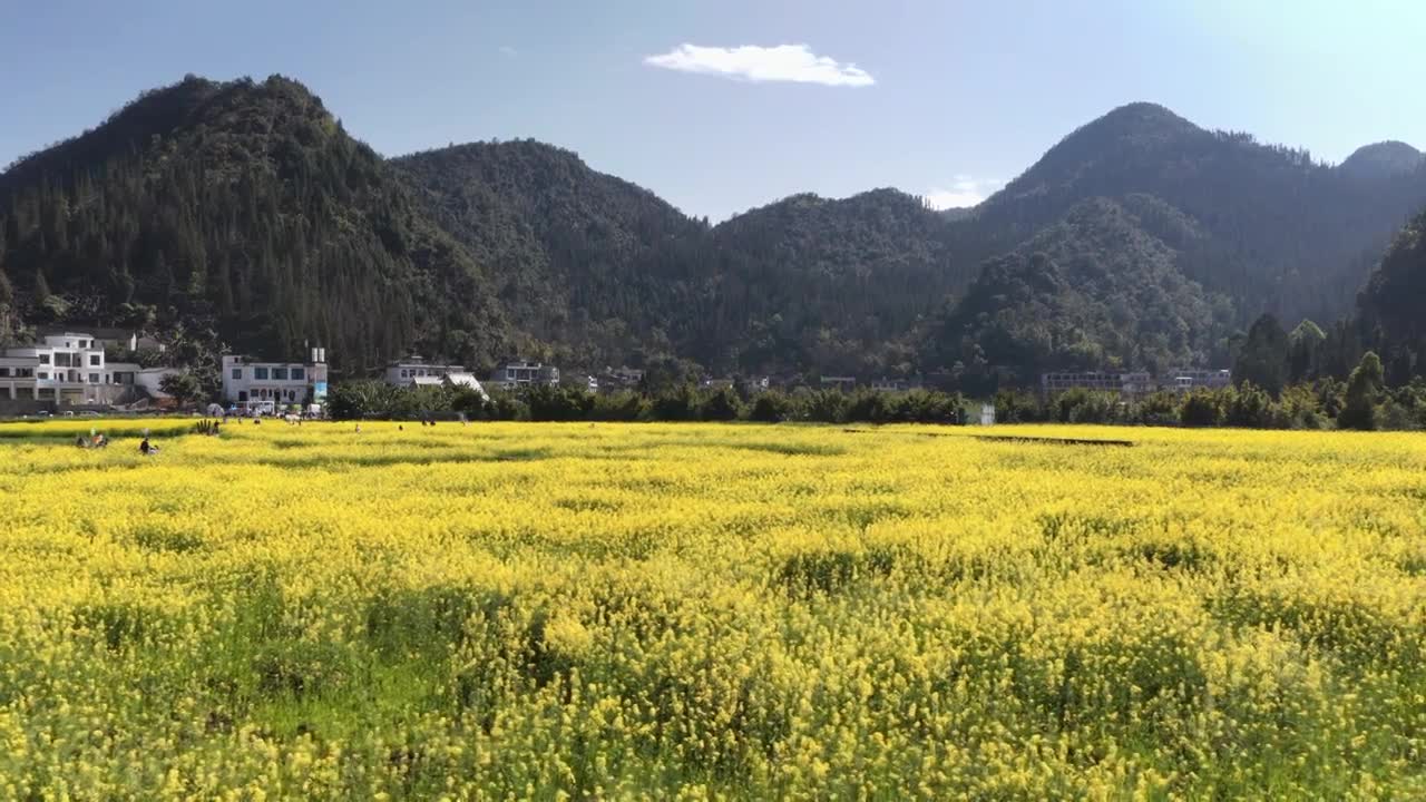 贵州万峰林八卦田航拍视频素材画面1