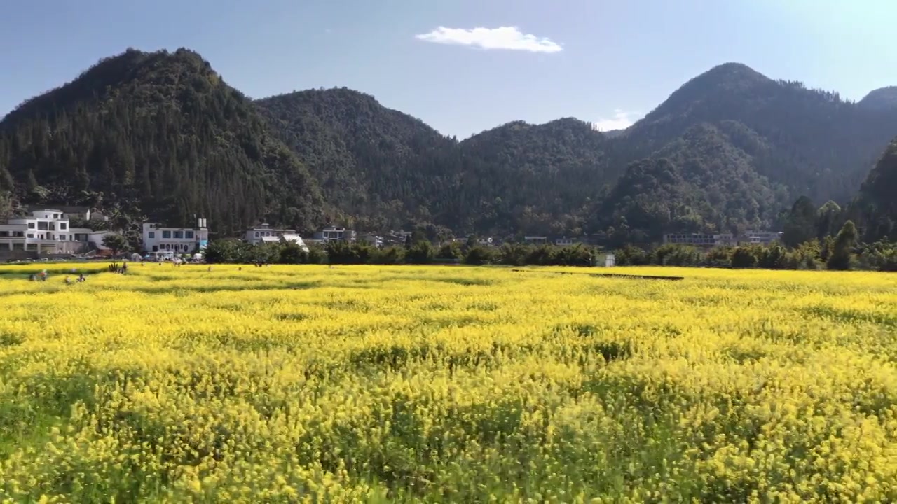 贵州万峰林八卦田航拍视频素材画面3