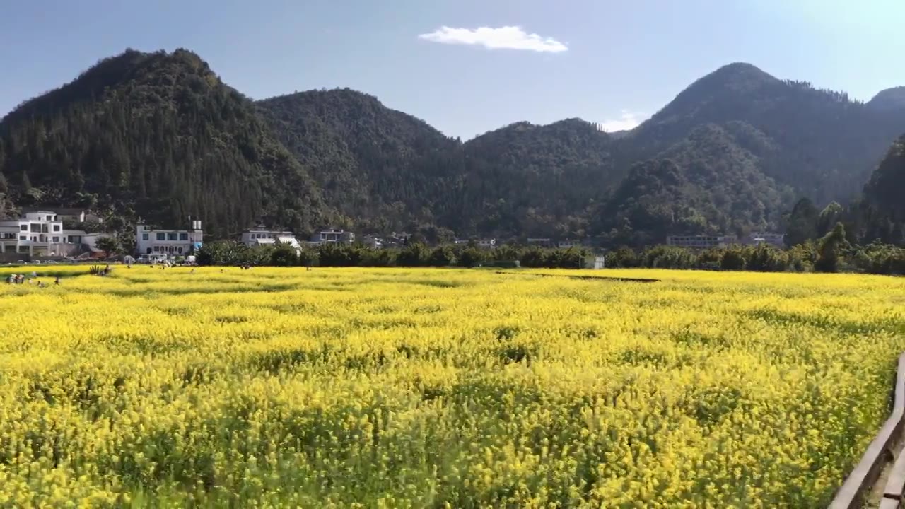 贵州万峰林八卦田航拍视频素材画面4