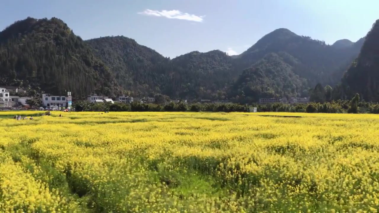 贵州万峰林八卦田航拍视频素材画面3