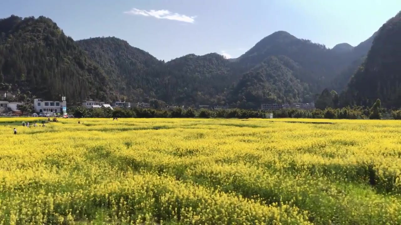 贵州万峰林八卦田航拍视频素材画面4