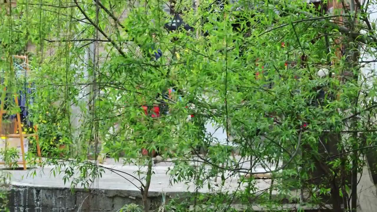云南丽江沙溪古镇河畔亭与纳西古村风貌实拍视频素材画面4