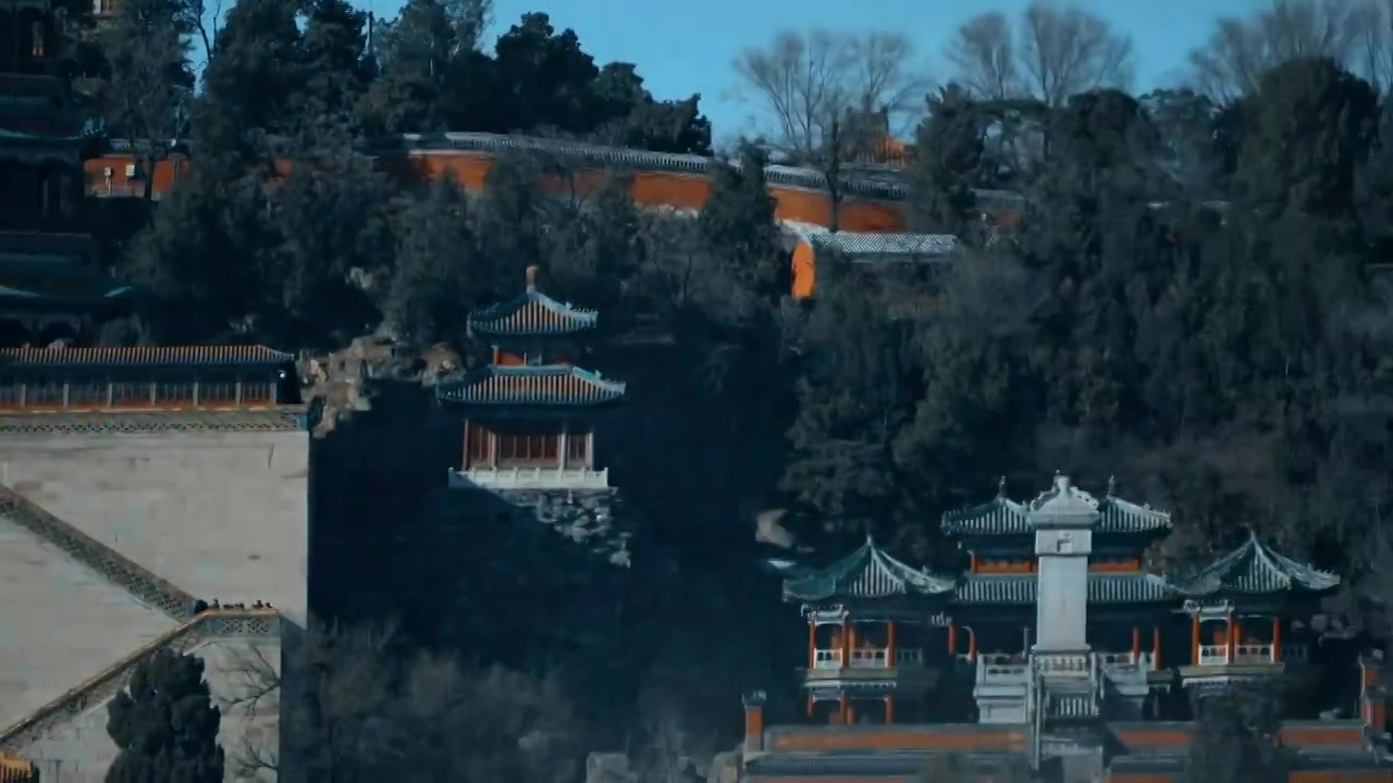 北京颐和园春天傍晚迁徙的白天鹅起飞视频素材画面3