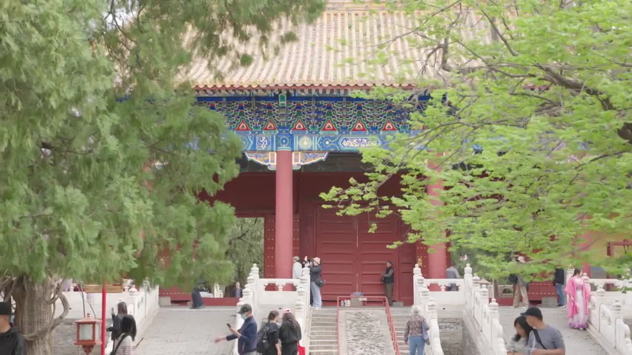 北京孔庙国子监紫藤花合集视频素材画面3