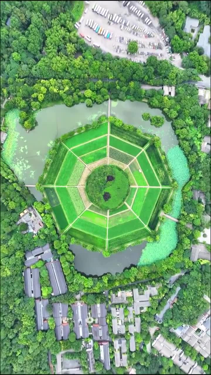 浙江省杭州市八卦田遗址公园视频素材画面1