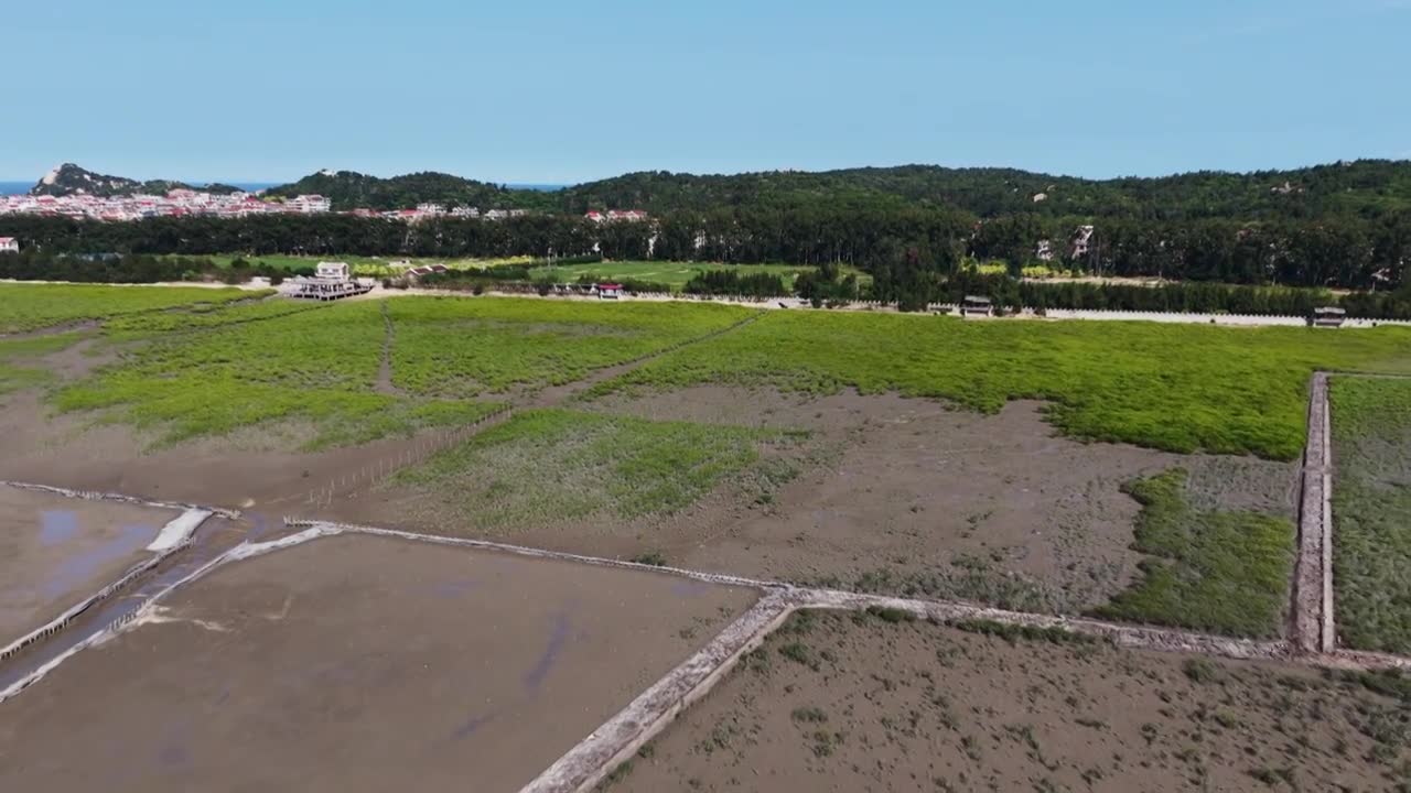 航拍莆田湄洲岛红树林湿地景观视频素材画面1
