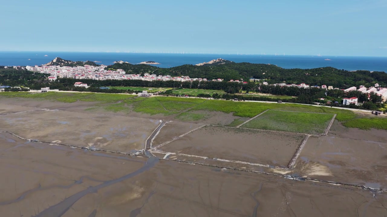 航拍莆田湄洲岛红树林湿地景观视频素材画面3