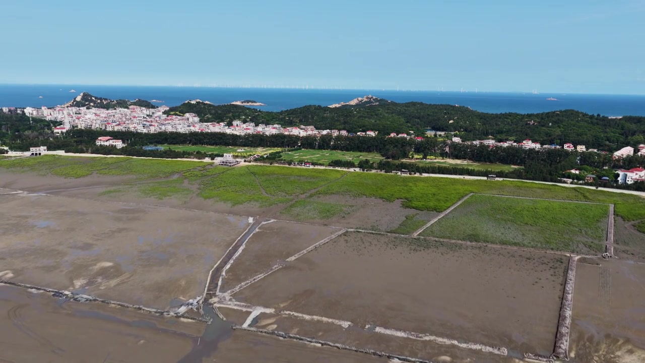 航拍莆田湄洲岛红树林湿地景观视频素材画面4