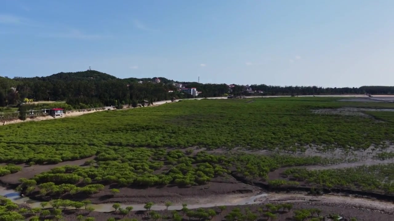 航拍莆田湄洲岛红树林湿地景观视频素材画面3