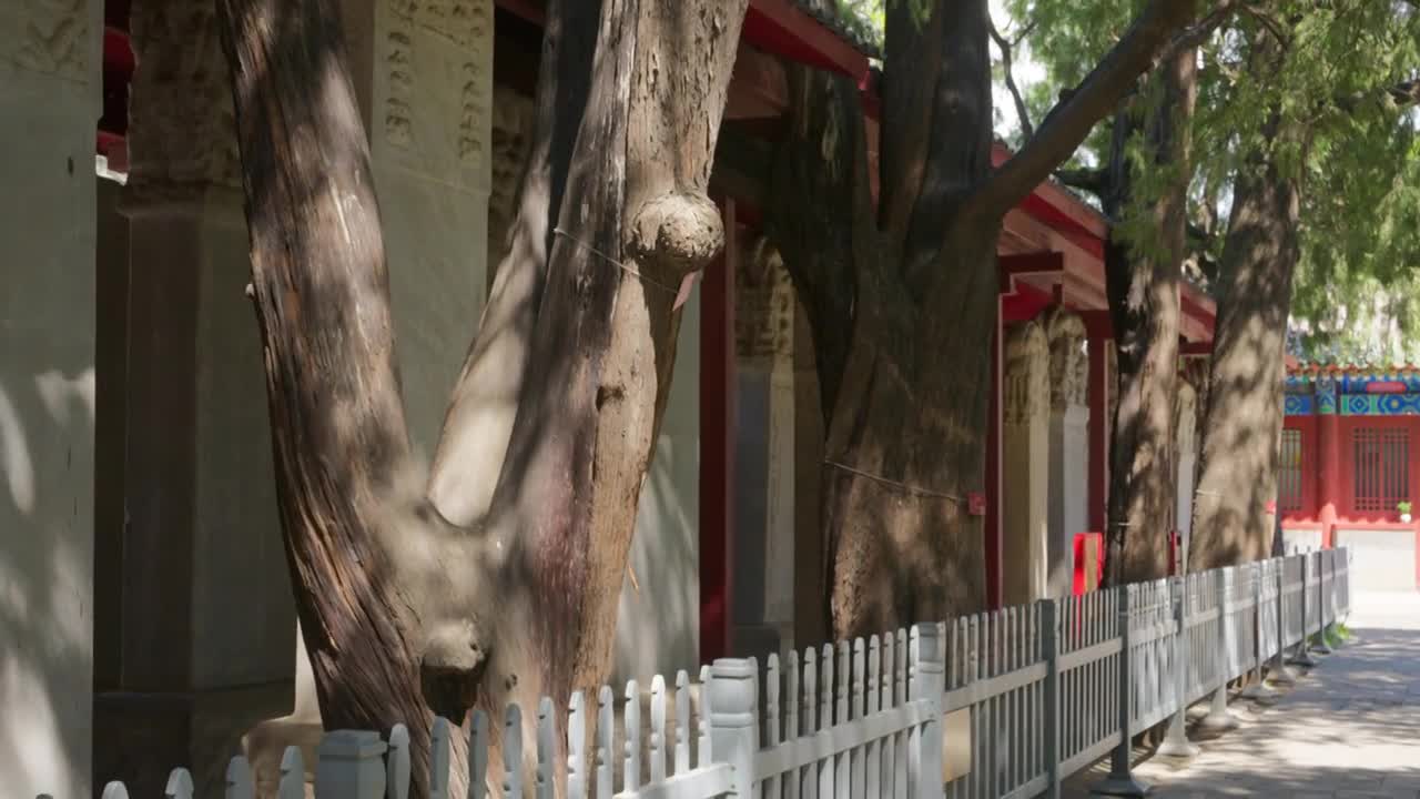 北京孔庙国子监成贤街合集视频素材画面4