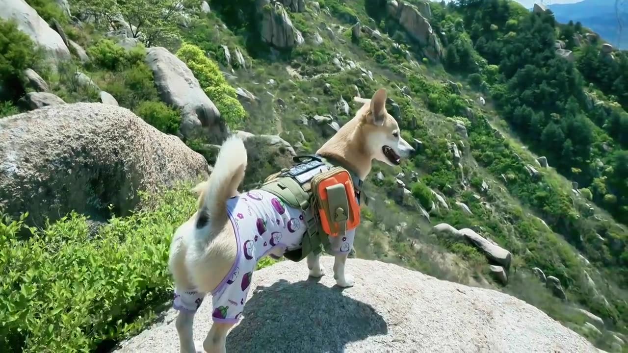 乌龙沟长城视频素材画面4