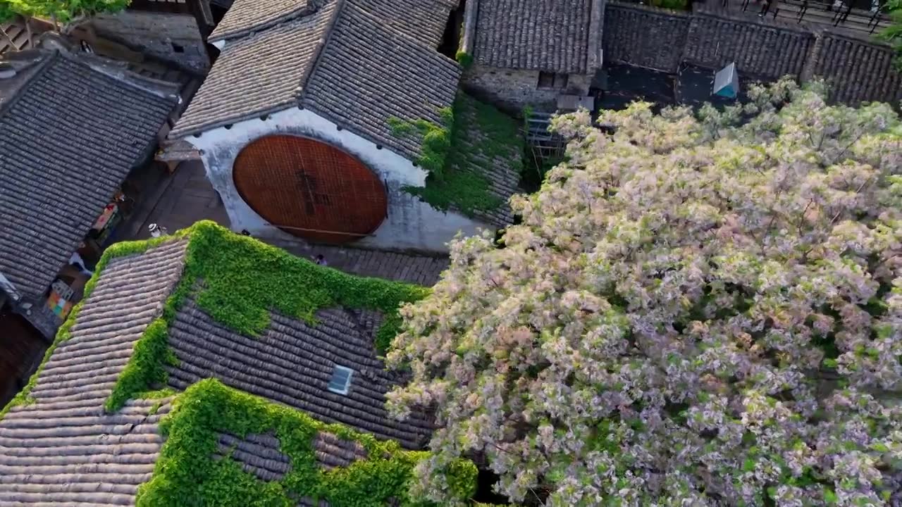 乌镇西栅航拍视频素材画面3