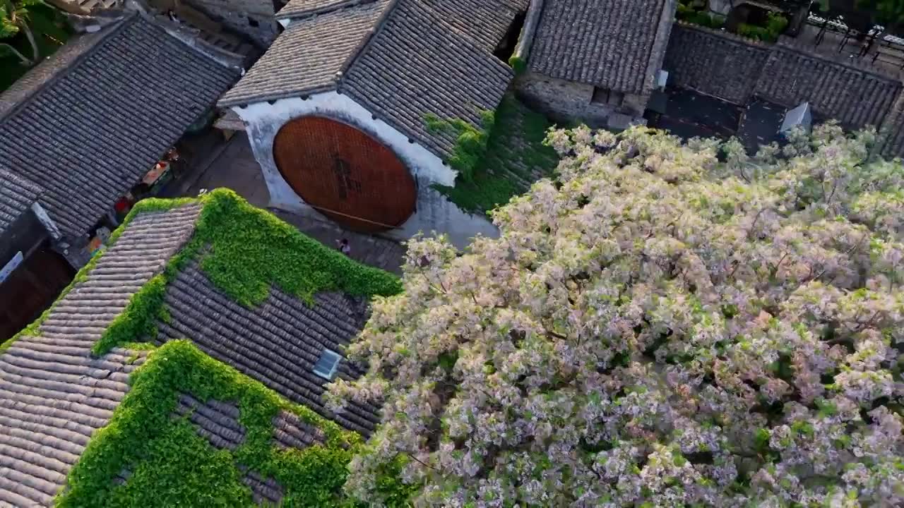 乌镇西栅航拍视频素材画面4