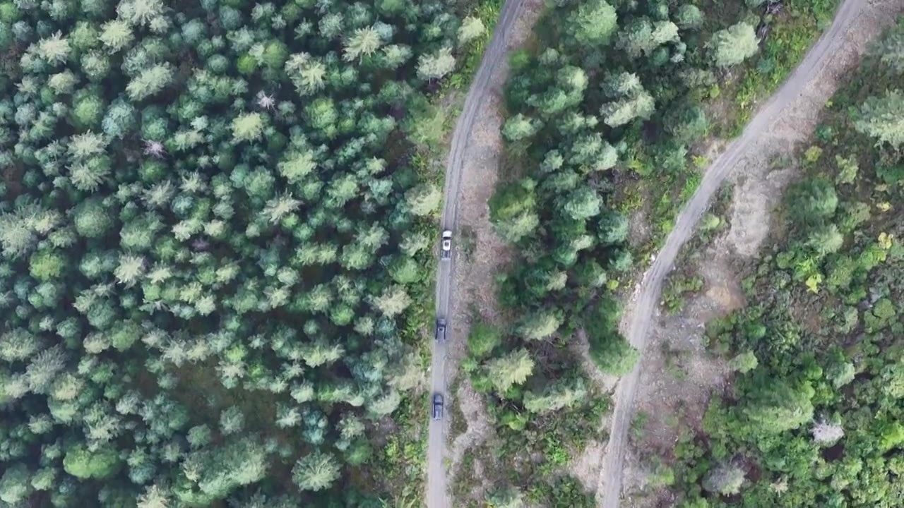 新都桥附近的莫斯卡垭口视频素材画面4
