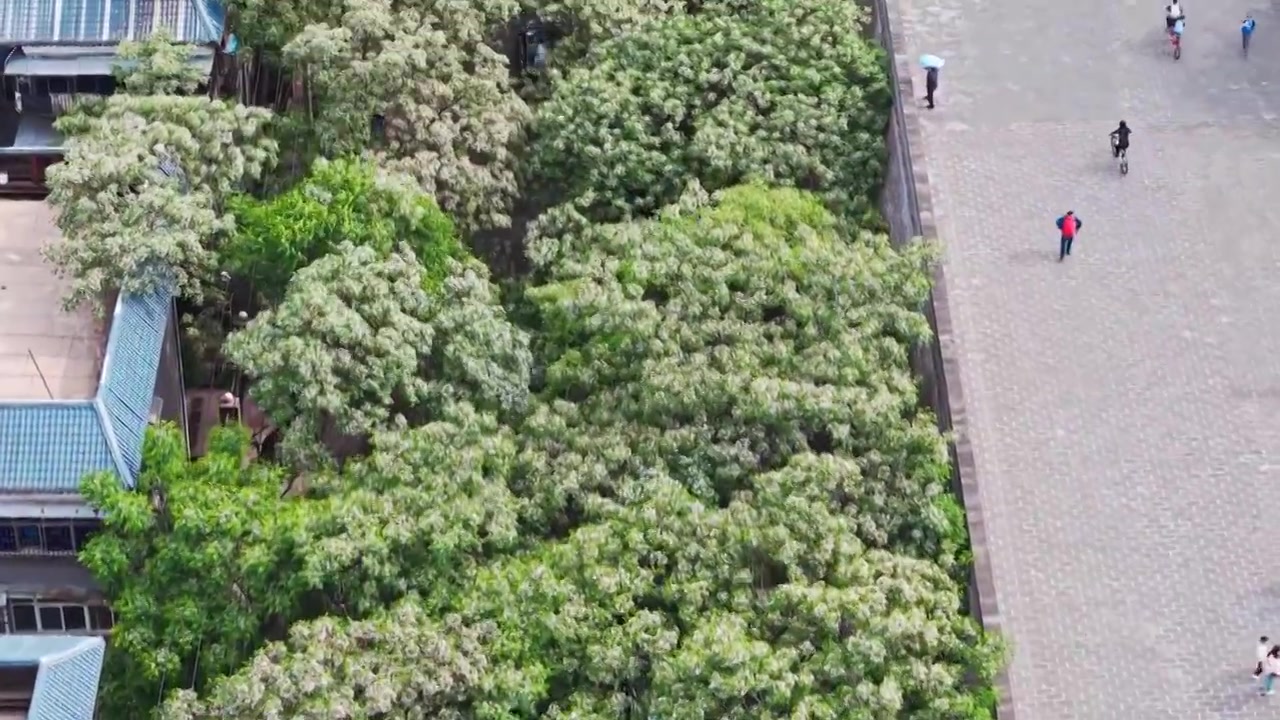 西安城墙西门安定门护城河五一航拍风景视频素材画面4