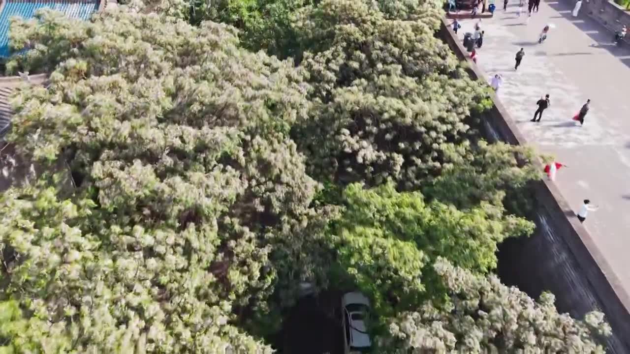 西安城墙西门安定门护城河五一航拍风景视频素材画面1