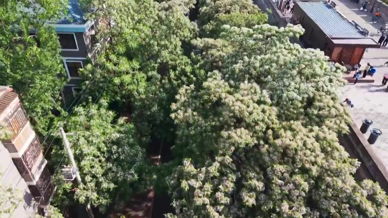 西安城墙西门安定门护城河五一航拍风景视频素材画面3