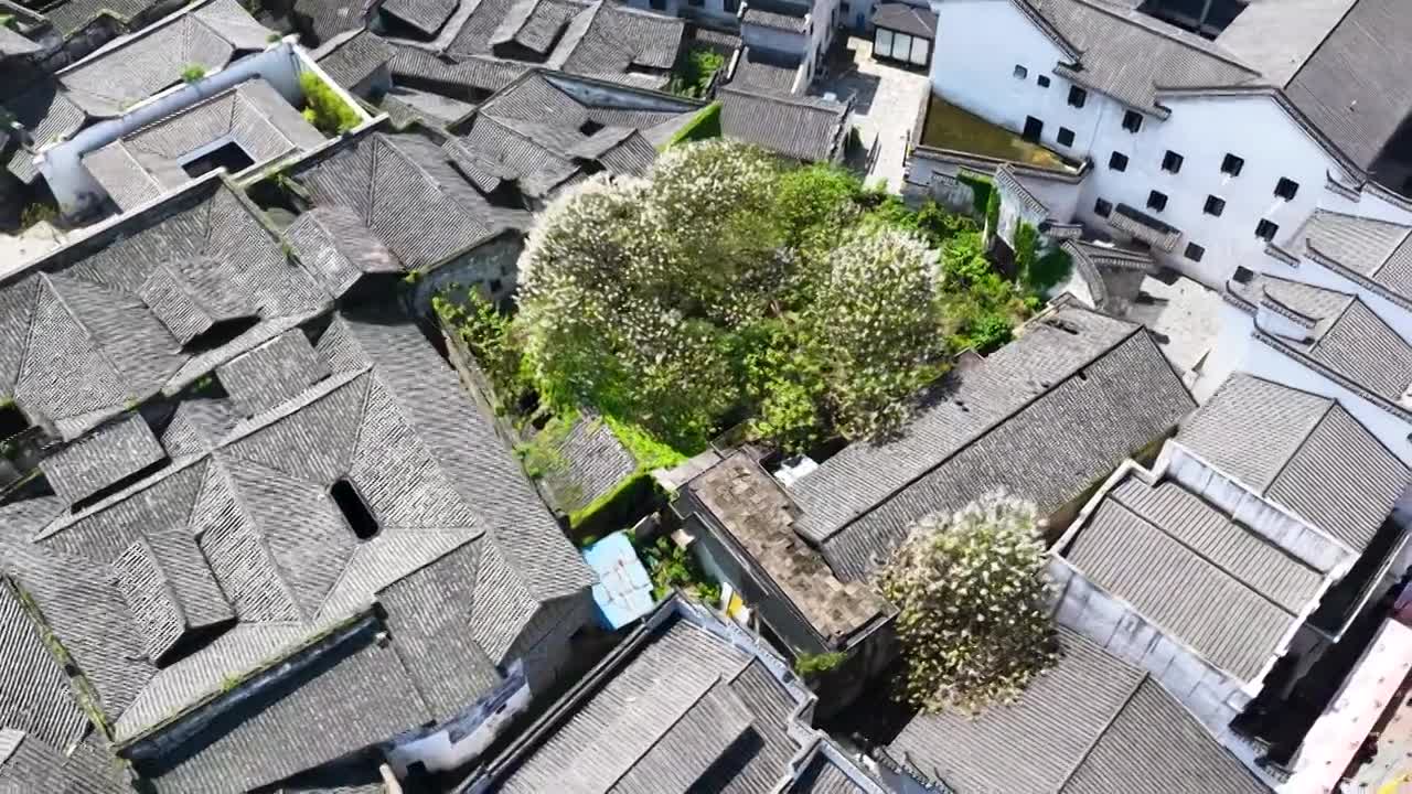 4K怀化市洪江区洪江古商城视频素材画面3
