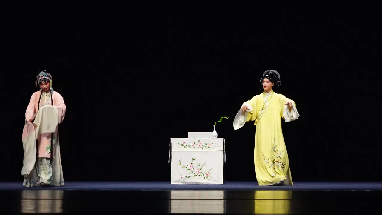 汤显祖临川四梦牡丹亭剧本的昆剧舞台表演视频素材画面4