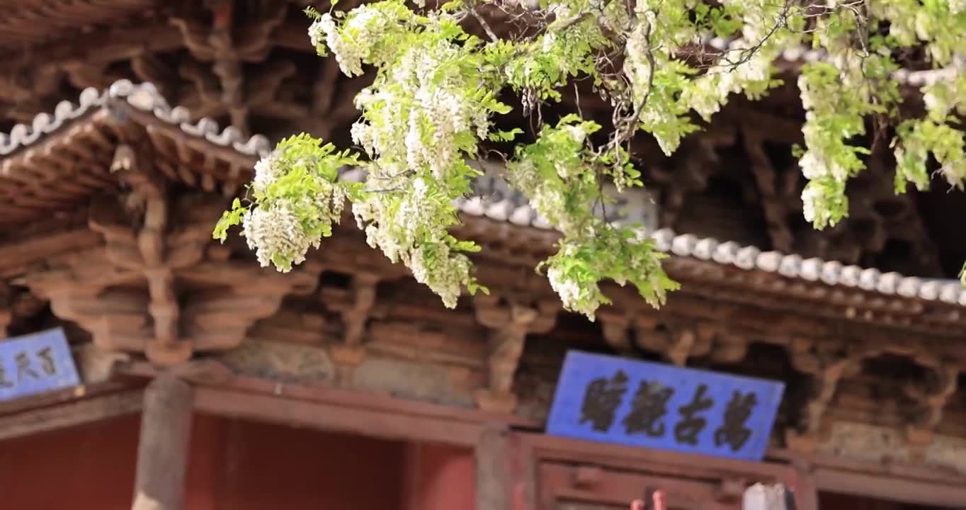 山西朔州应县木塔春天世界最高纯木古塔视频素材画面1