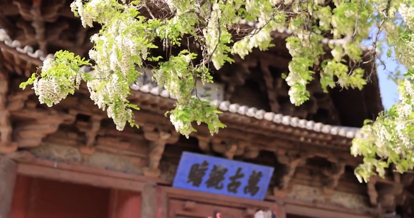 山西朔州应县木塔春天世界最高纯木古塔视频素材画面3