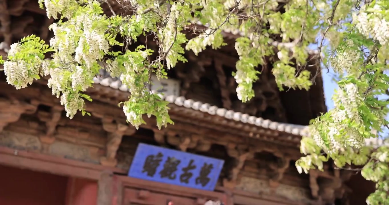 山西朔州应县木塔春天世界最高纯木古塔视频素材画面4