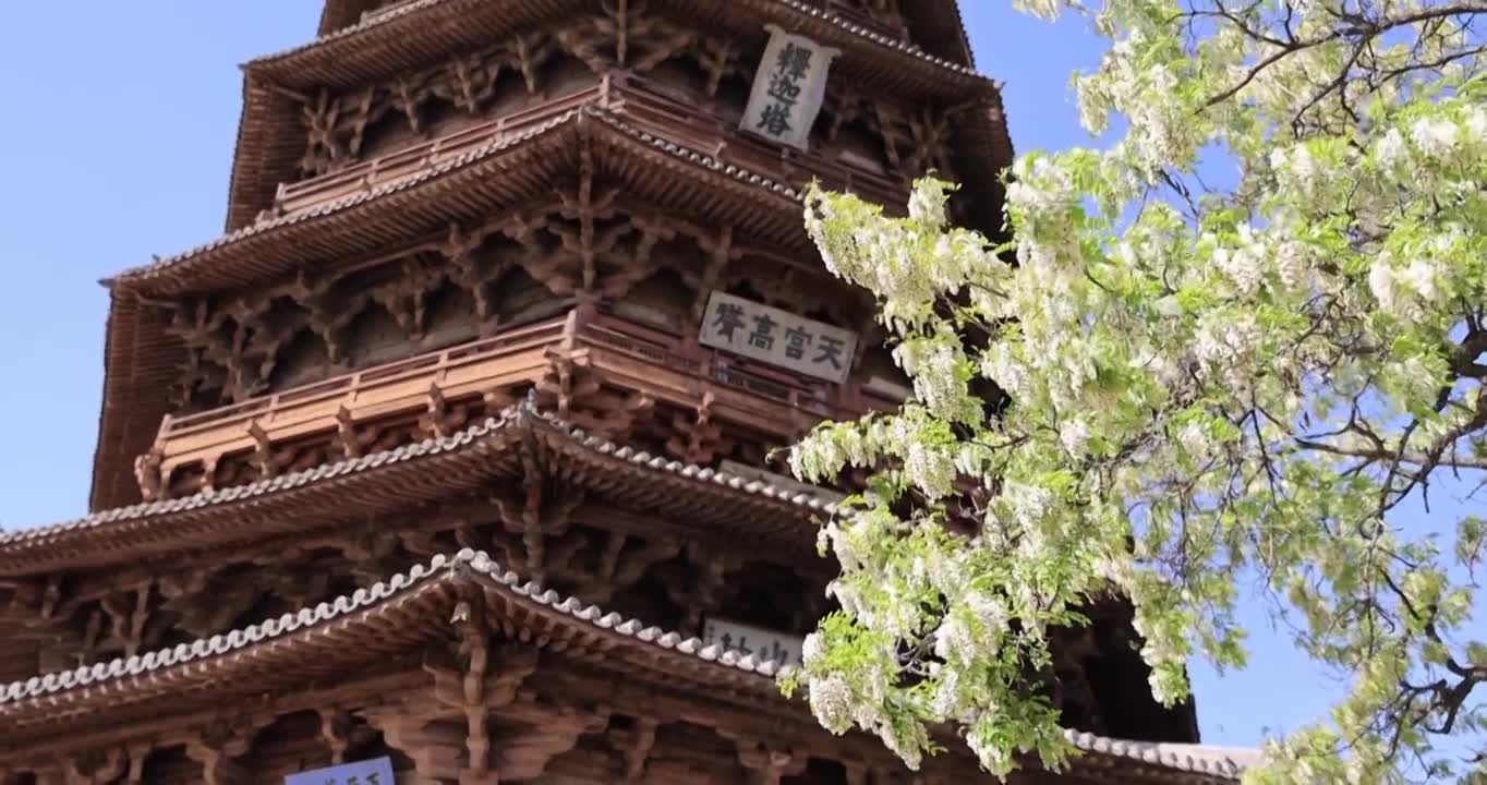 山西朔州应县木塔春天世界最高纯木古塔视频素材画面1