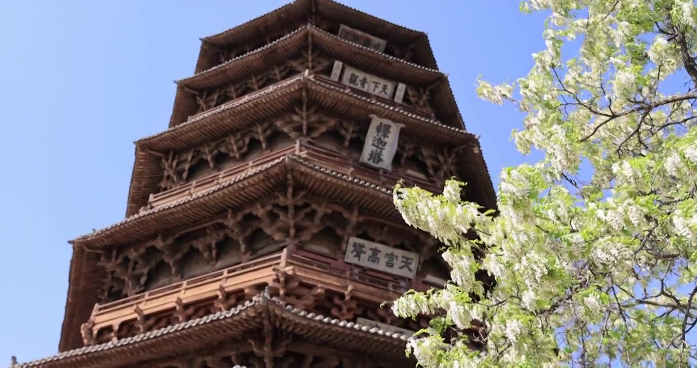 山西朔州应县木塔春天世界最高纯木古塔视频素材画面4