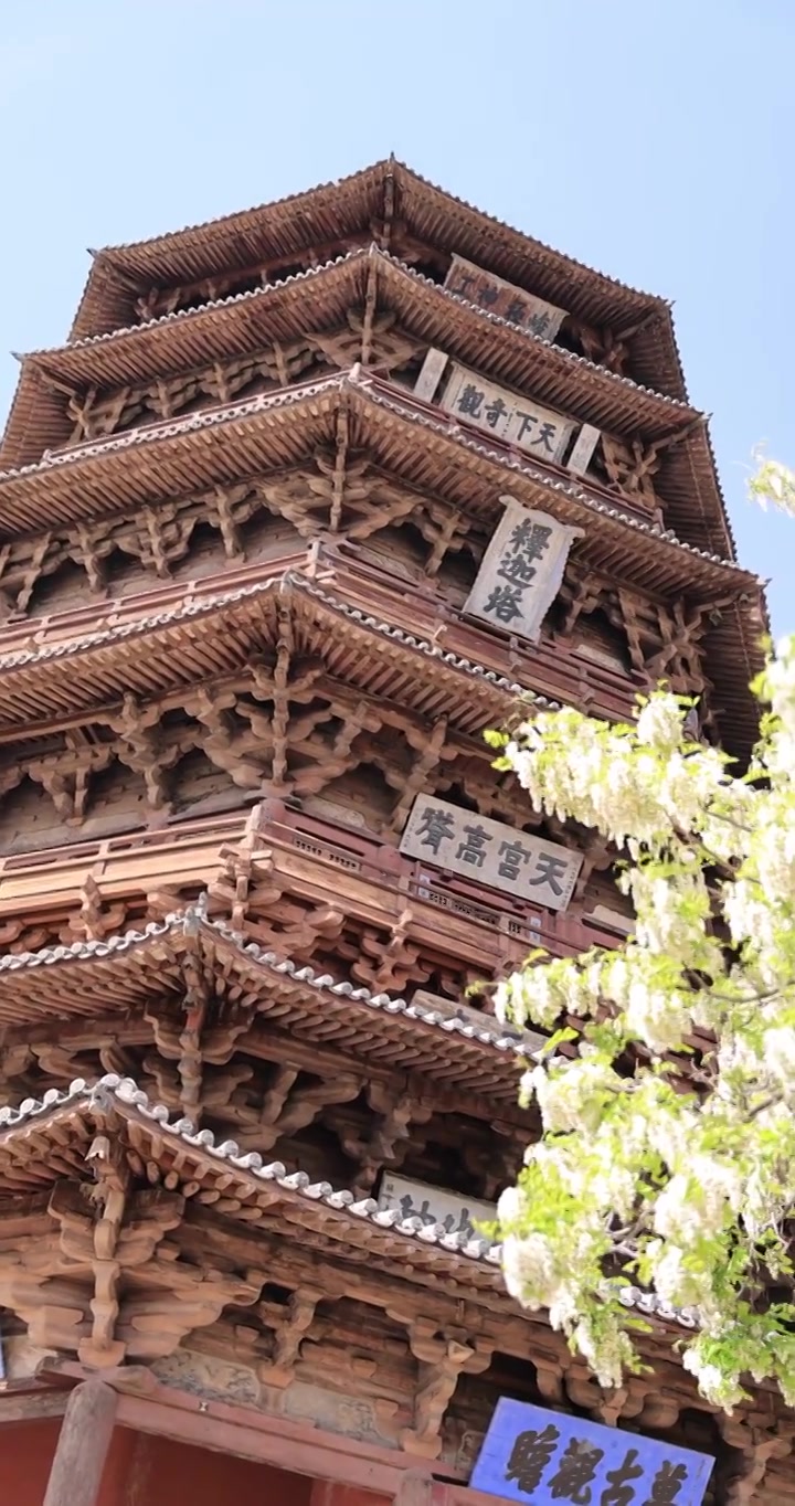 山西朔州应县木塔世界最高纯木古塔视频素材画面3