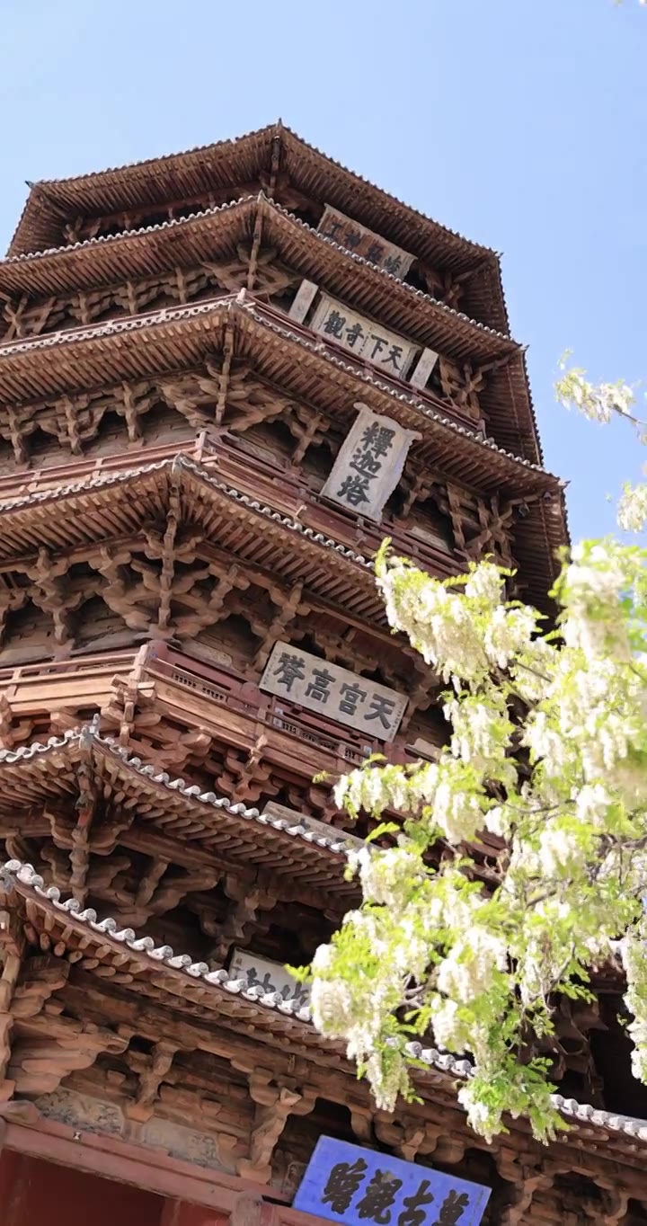 山西朔州应县木塔世界最高纯木古塔视频素材画面4
