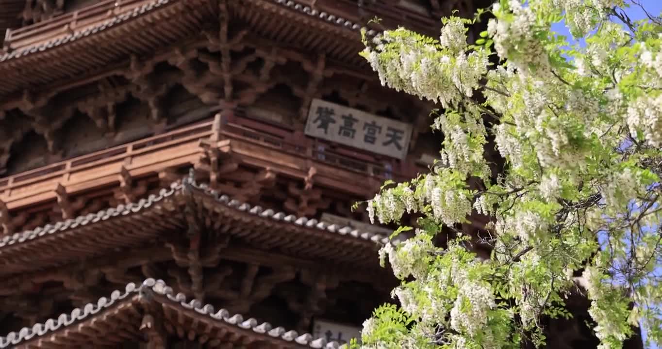 山西朔州应县木塔春天世界最高纯木古塔视频素材画面1