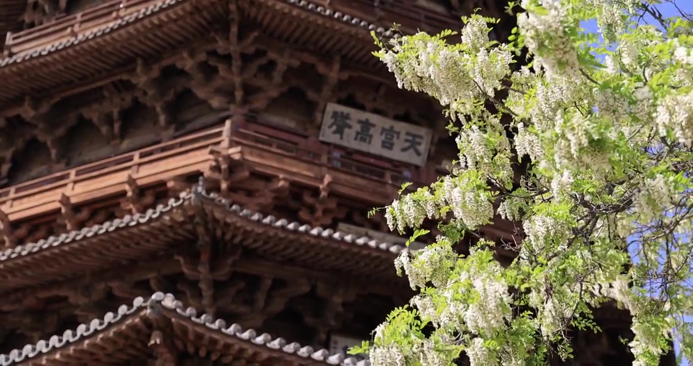 山西朔州应县木塔春天世界最高纯木古塔视频素材画面4