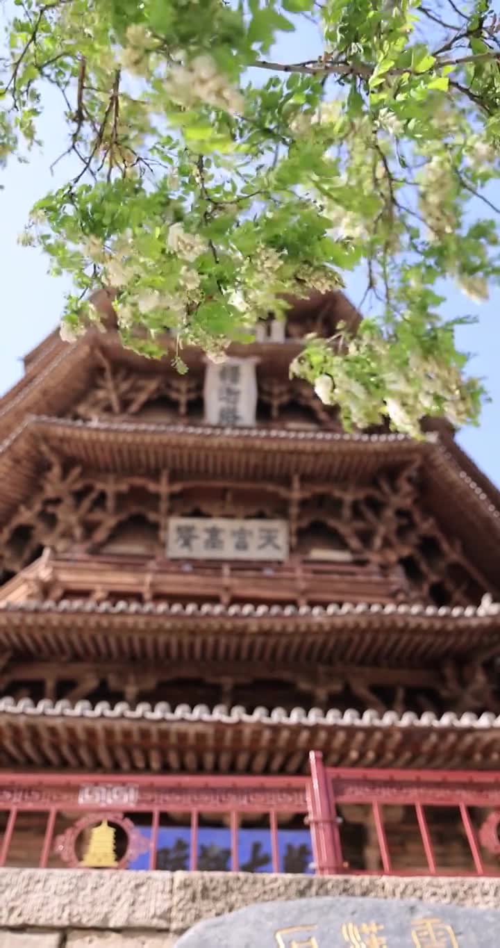 山西朔州应县木塔春天世界最高纯木古塔视频素材画面1