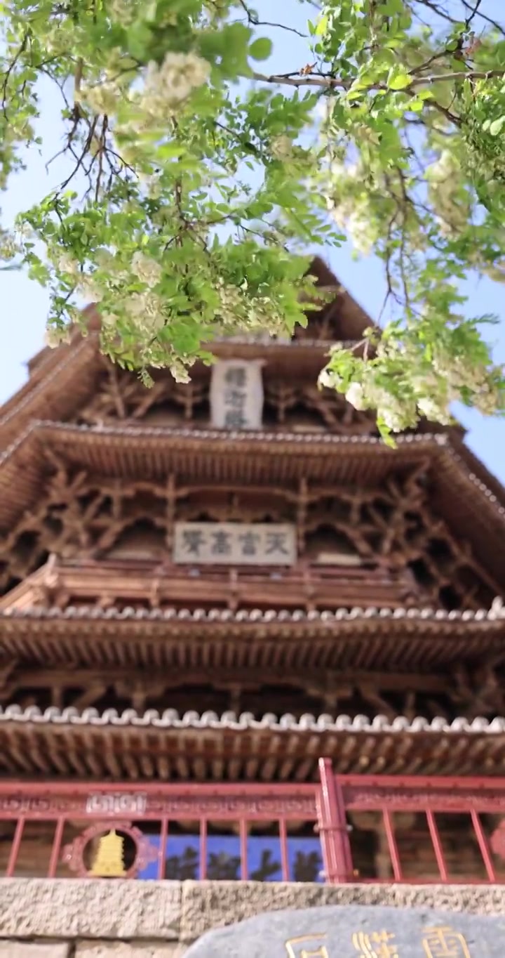 山西朔州应县木塔春天世界最高纯木古塔视频素材画面3