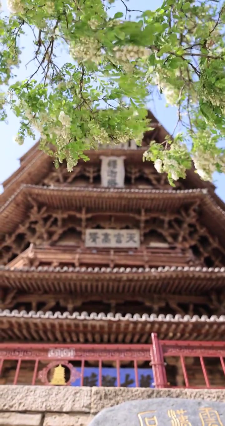 山西朔州应县木塔春天世界最高纯木古塔视频素材画面4