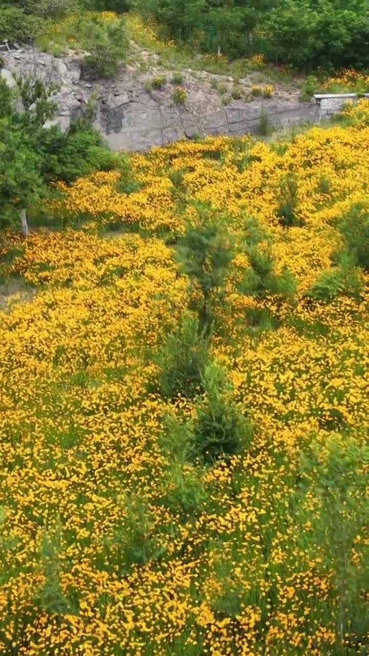航拍济南卧牛山地质公园视频素材画面1