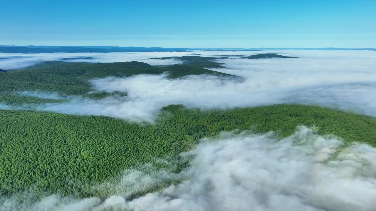 航拍大兴安岭绿色山林云海视频素材画面1