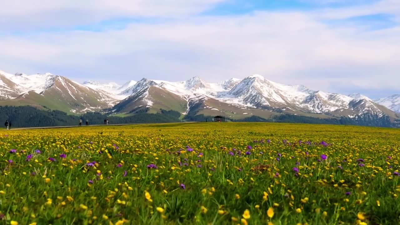喀拉峻大草原视频素材画面1