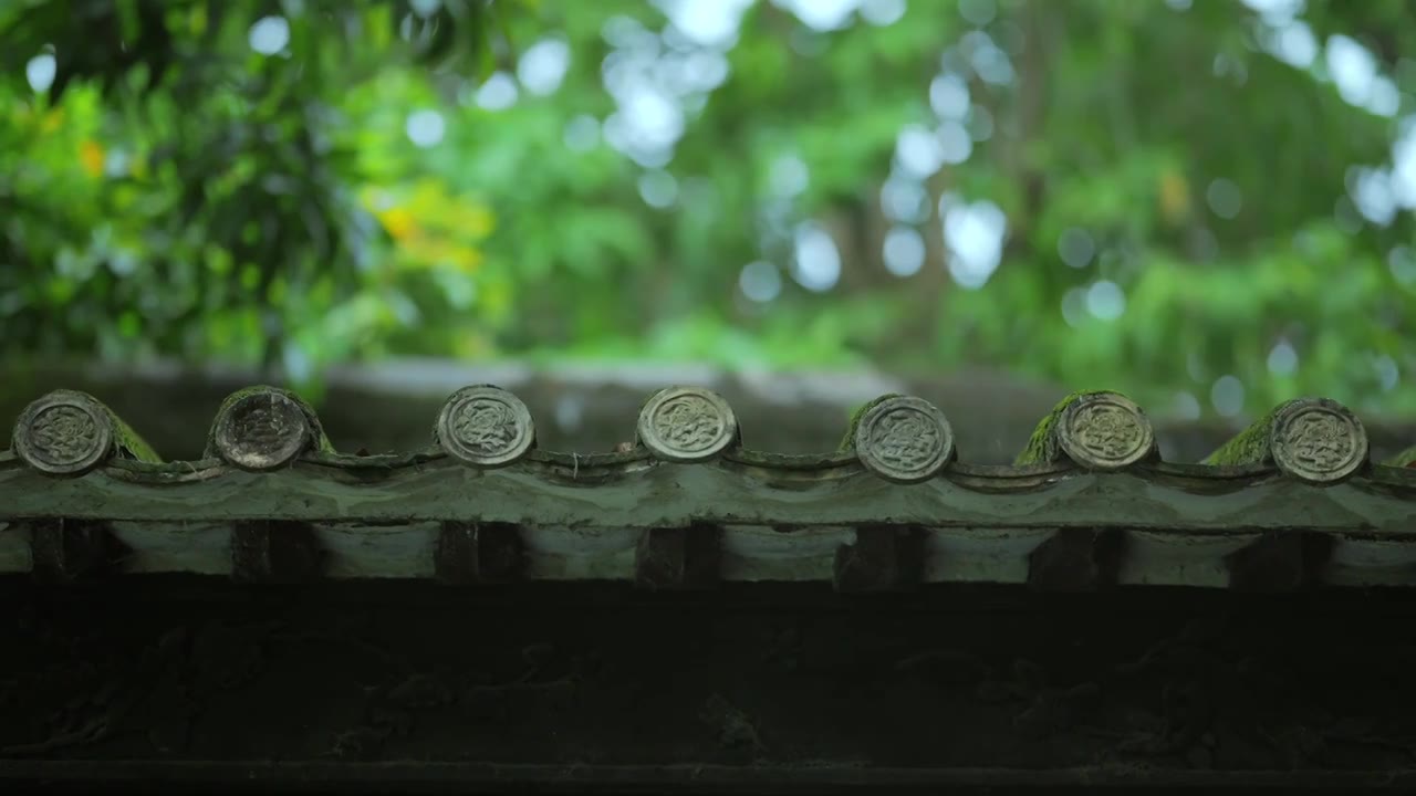广东四大名园清晖园屋檐窗花特写视频素材画面1