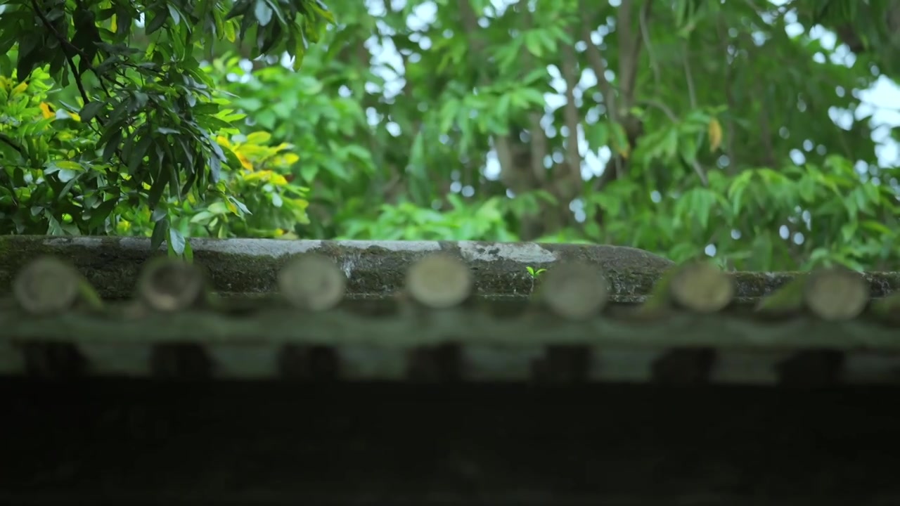 广东四大名园清晖园屋檐窗花特写视频素材画面3