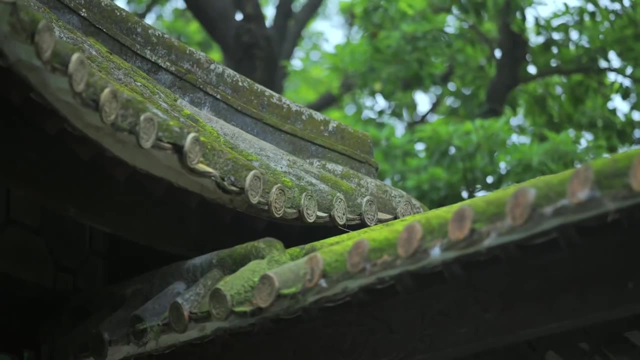 广东四大名园清晖园屋檐窗花门厅中近景特写视频素材画面1