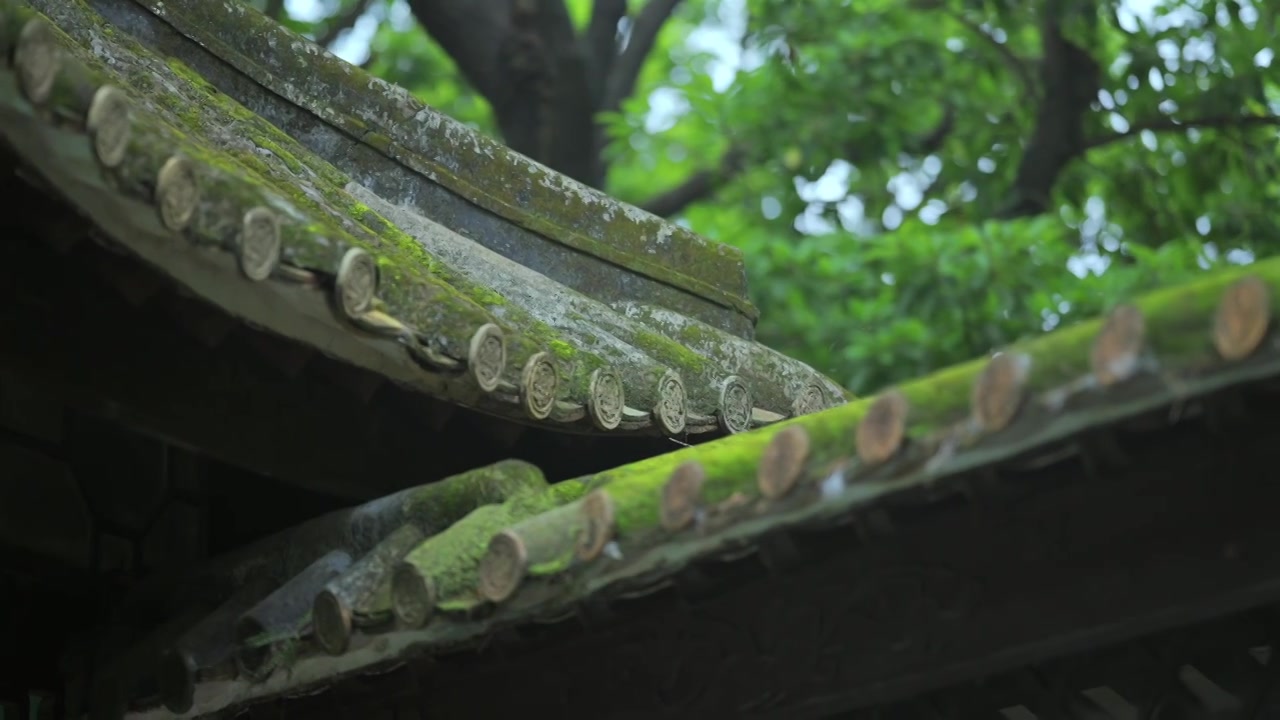 广东四大名园清晖园屋檐窗花门厅中近景特写视频素材画面3
