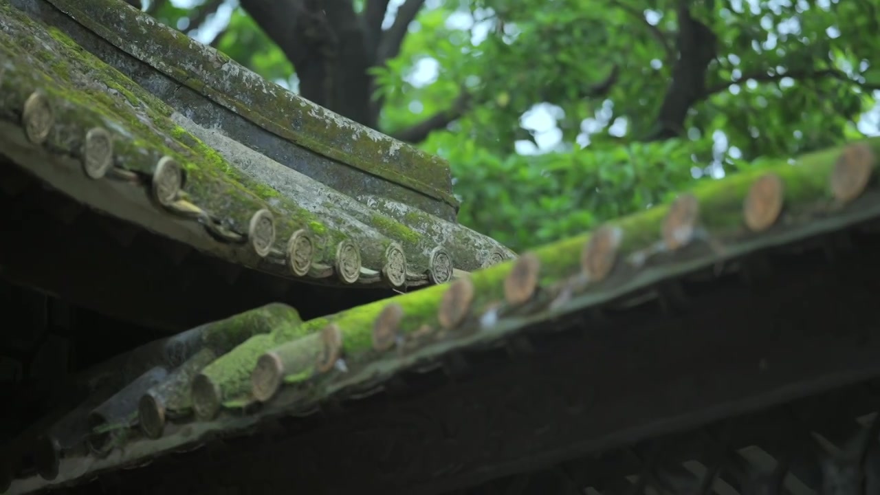 广东四大名园清晖园屋檐窗花门厅中近景特写视频素材画面4