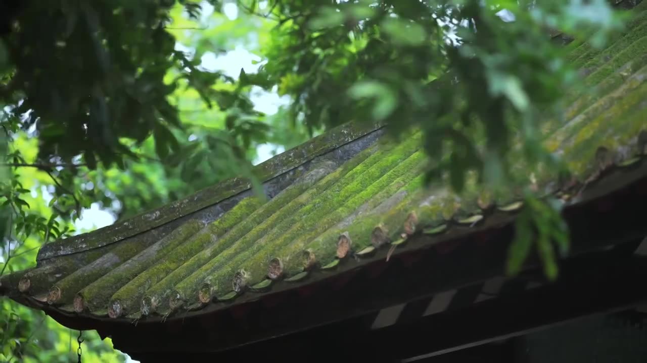 广东四大名园清晖园屋檐窗花门厅中近景特写视频素材画面1