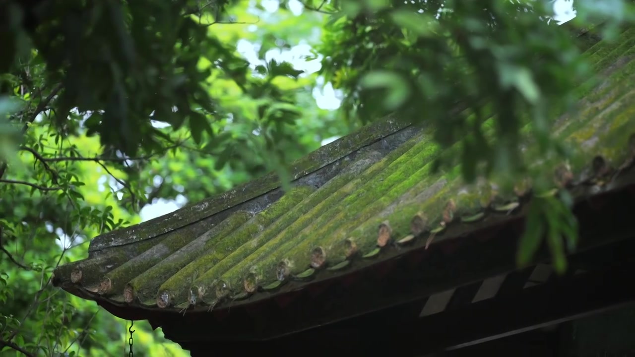 广东四大名园清晖园屋檐窗花门厅中近景特写视频素材画面3