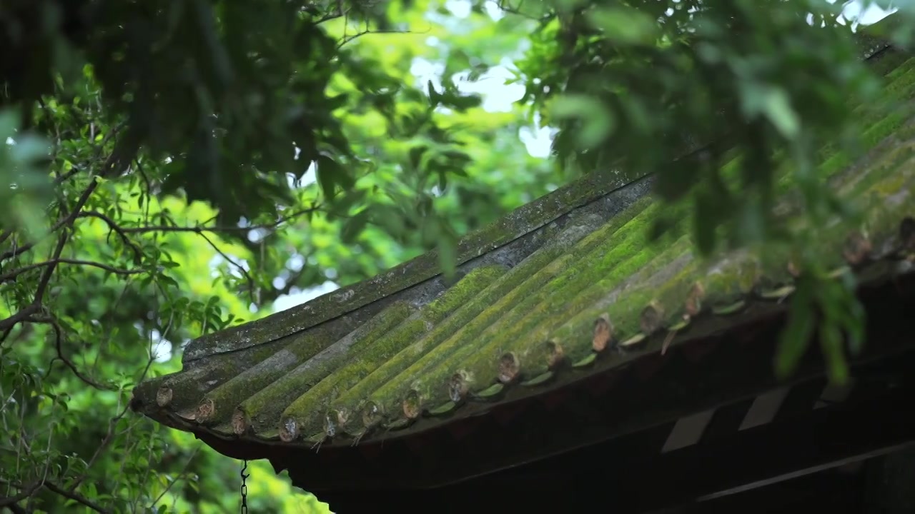 广东四大名园清晖园屋檐窗花门厅中近景特写视频素材画面4