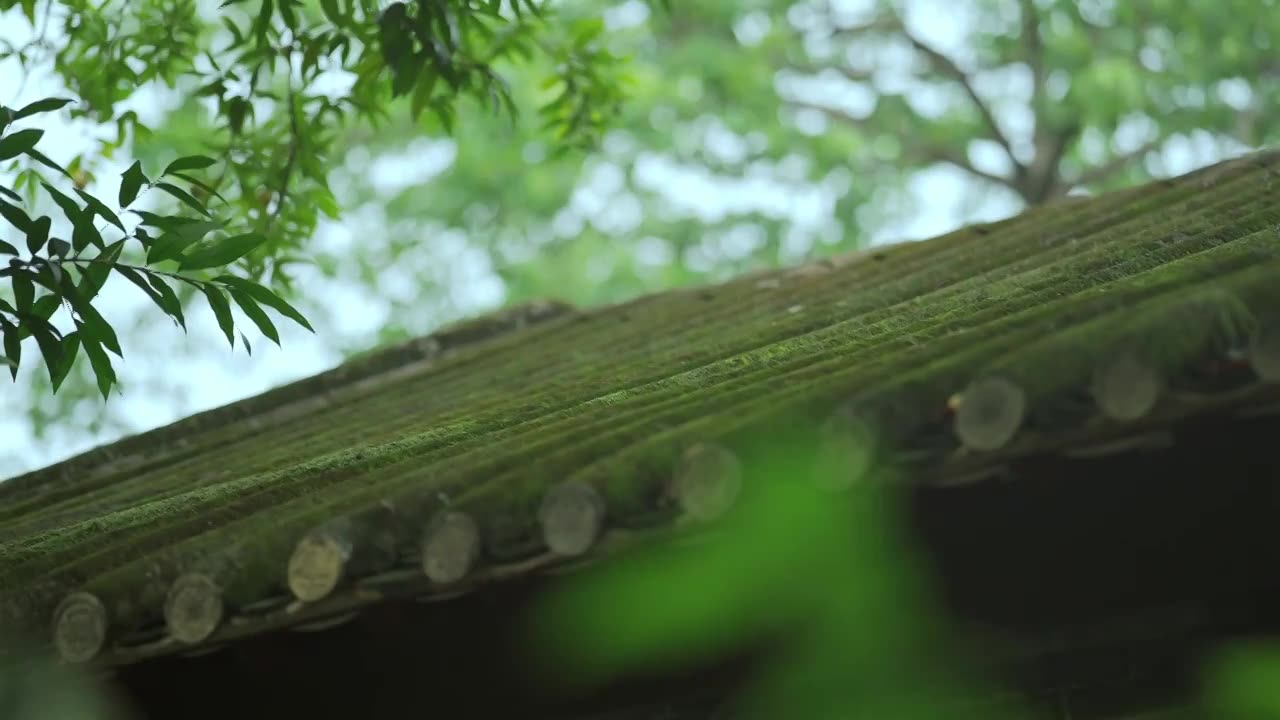 广东四大名园清晖园屋檐窗花门厅中近景特写视频素材画面1
